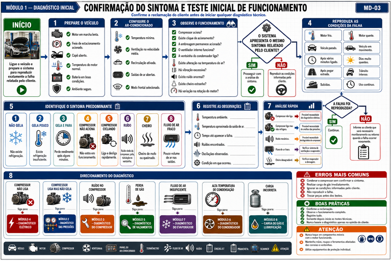 Confirmação do sintoma e teste inicial de funcionamento